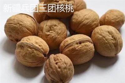 新疆塔城市的特产,乌苏柳花茶被视为茶中极品