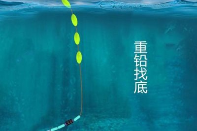 台钓和传统钓所用鱼漂的区别,台钓主用立漂、传统钓多用立漂、七星漂、卧式漂