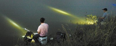 秋天夜钓用什么饵料,可选自然饵料、商品饵料或自制饵料