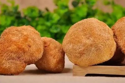 食用菌的种植前景,市场需求大前景广阔