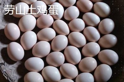 我国鸡蛋产地，主要集中在华东、华北以及东北等地区