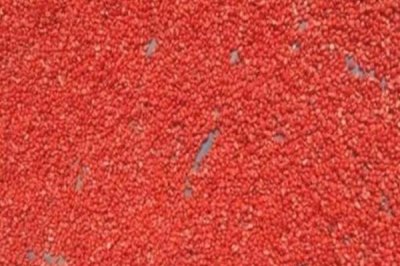 玉米拌种的作用,可有效防烂种、病虫害及倒伏