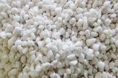 什么是花木扦插常用的基质,常用的有泥炭土、珍珠岩、蛭石等