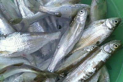 万能袖钩是什么,是常用的一种袖形钩