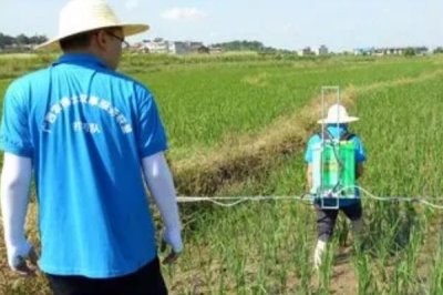 敌敌畏农药能防治哪些害虫，对咀嚼口器和刺吸口器的害虫均有效