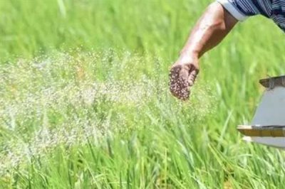 生物钾肥有什么作用,有强大的活化能力
