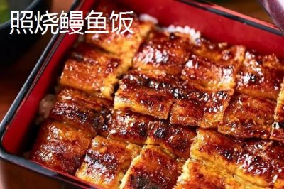 印尼鳗的特点,身体近似圆锥形