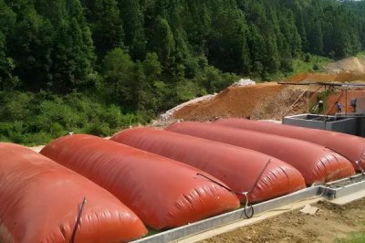 农家肥和化肥有什么区别,来源、作用和肥效均不同