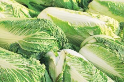 白菜的价格，不同地区的价格有所差异