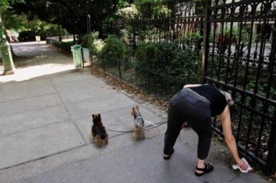 家里狗味太重如何去除，需定期清洗和消毒狗狗的用品