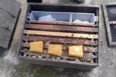 将两群蜂合并成双王群的方法,将蜂群转移到蜂箱两侧再喷洒蜂蜜水可混淆群味