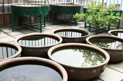 什么水适合养鱼,可以使用井水、河水、湖水等