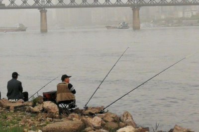 草鱼的钓法,用海竿最好