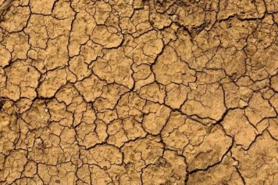 如何快速改良土壤板结,增施有机肥少施化肥