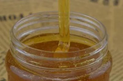 桐花蜜简介,蜜源包括玄参科泡桐、大戟科油桐等