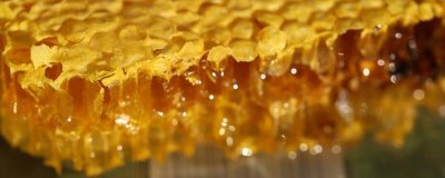 正宗洋槐蜜的特征,通常呈透明的水白色