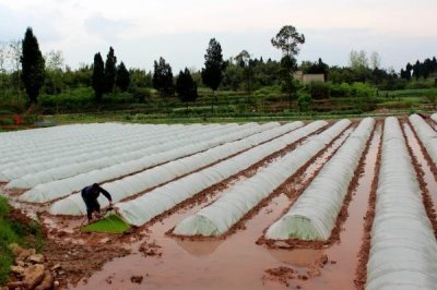 如何购买农膜，首先要看产品合格证