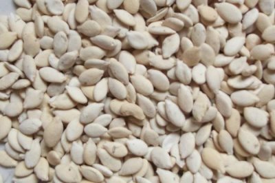 冬瓜种子如何挑选,一看包装二看外观