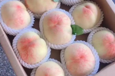 凤桥水蜜桃的上市时间,通常为每年的6-8月份