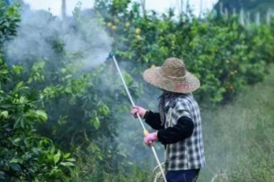 杀梢素和乙烯利可以一起用吗,通常情况下是可以一起使用的