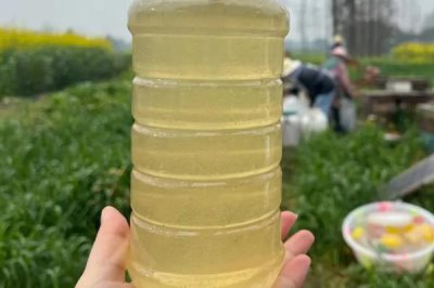 油菜花蜂蜜怎么鉴别真假,从色泽、香味、口感和结晶状态综合分辨