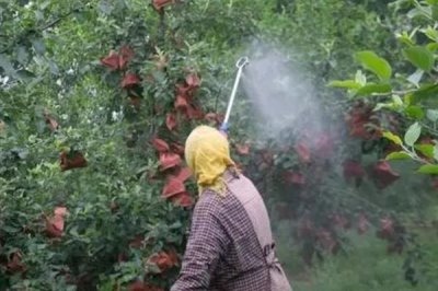 果树上有腻虫怎么处理，若情况比较轻微可将病叶摘