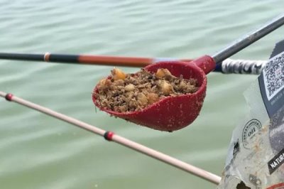 钓鲫鱼海夕钩和溪流钩哪个好,用海夕钩可能比用溪流钩要更好