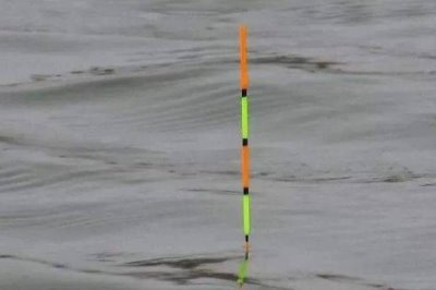 台钓鲢鳙鱼的方法，可选择溶氧量较高的水域作为钓点