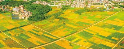 我国农业发展的特点，现代化农业生产过程机械化且生产技术科学化
