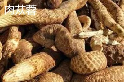 肉苁蓉的品种,包括草苁蓉、管花肉苁蓉、盐生肉苁蓉等种类