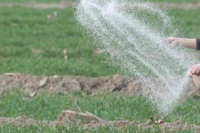复合肥撒在地表多长时间会挥发,挥发时间与温度有关