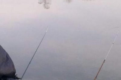 钓鲤鱼用什么鱼钩,可选择伊势尼钩、伊豆钩等