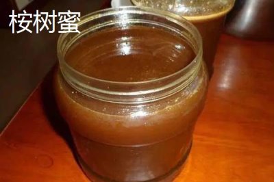桉树蜜和蜂蜜的区别,桉树蜜是蜂蜜的一种