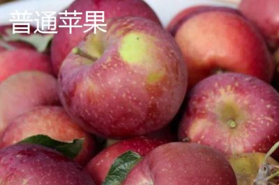 冰糖心苹果是特殊的品种吗，并非特殊的品种