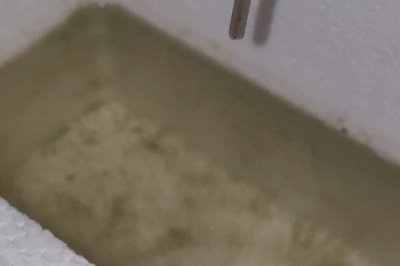 怎么在室内养殖红虫，每隔7-10天换一次水