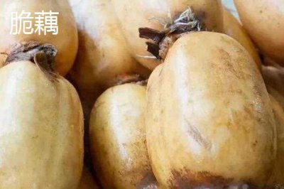 粉藕和脆藕有什么区别,粉藕颜色偏黄、脆藕颜色偏白