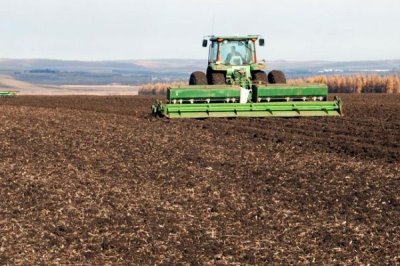 甘薯地膜覆盖种植方法,生育后期低温会影响产量
