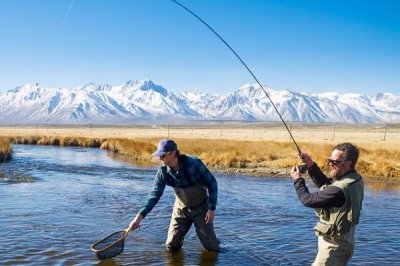 钓鲫鱼实用技巧,一年四季都可以作钓