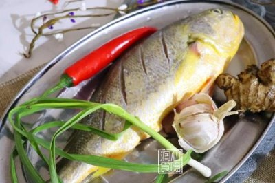 哪里可以购买黄鱼鱼苗,水产养殖市场有出售