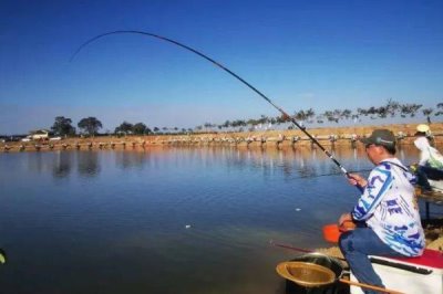 钓鲶鱼的技巧,以夜钓为佳