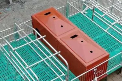 母猪单养圈舍的适宜尺寸,按照长4米、宽2.5米的规格去建造