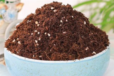 花卉盆栽土如何配制，根据植株的生长情况选择适合的基质