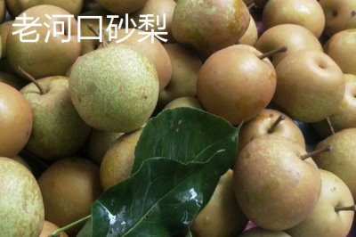 湖北老河口的特产,这8种都值得带走