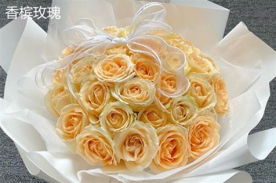 香槟玫瑰与黄玫瑰有什么区别,颜色、花语均不同