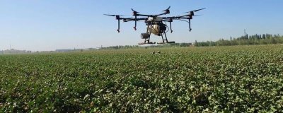 棉花常见病虫害及防治方法,不同病虫害的防治方法不同