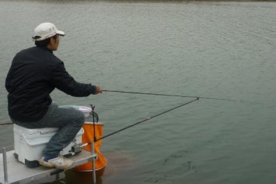 台钓鲢鳙鱼的方法，可选择溶氧量较高的水域作为钓点