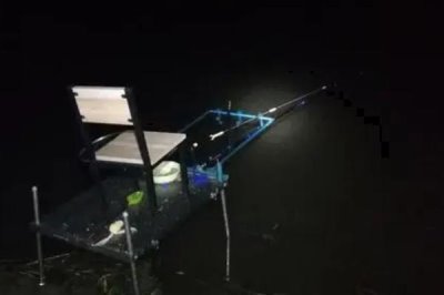 草鱼能否夜钓,可以垂钓、钓法正确即可上钩