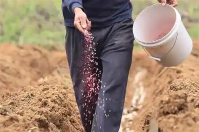 复合肥的标准标识，应标注出养分含量、国家标准肥料名称等信息