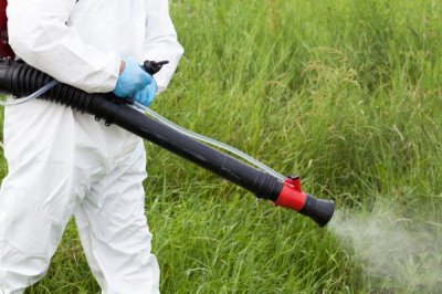 专治芦苇和茅草用哪种除草剂，可以使用高效氟吡甲禾灵