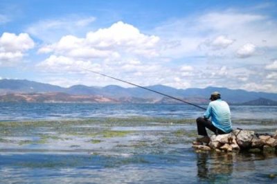 鳟鱼适合用什么饵钓，真饵和拟饵都适用